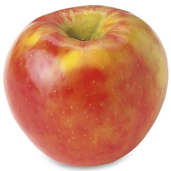 Large Honeycrisp Apple - Each, Large/ 1 Count - Kroger